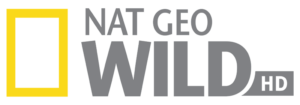 National Geographic Wild logo - Discover the Best Wildlife Documentaries with SUBTV